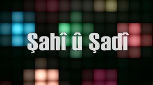 Şahî û Şadî - n°23