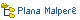 Plana Malper&ecirc;